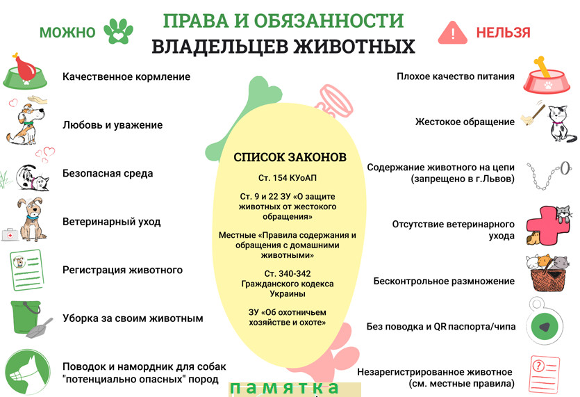 Постер к социальной практике: Важность идеи!