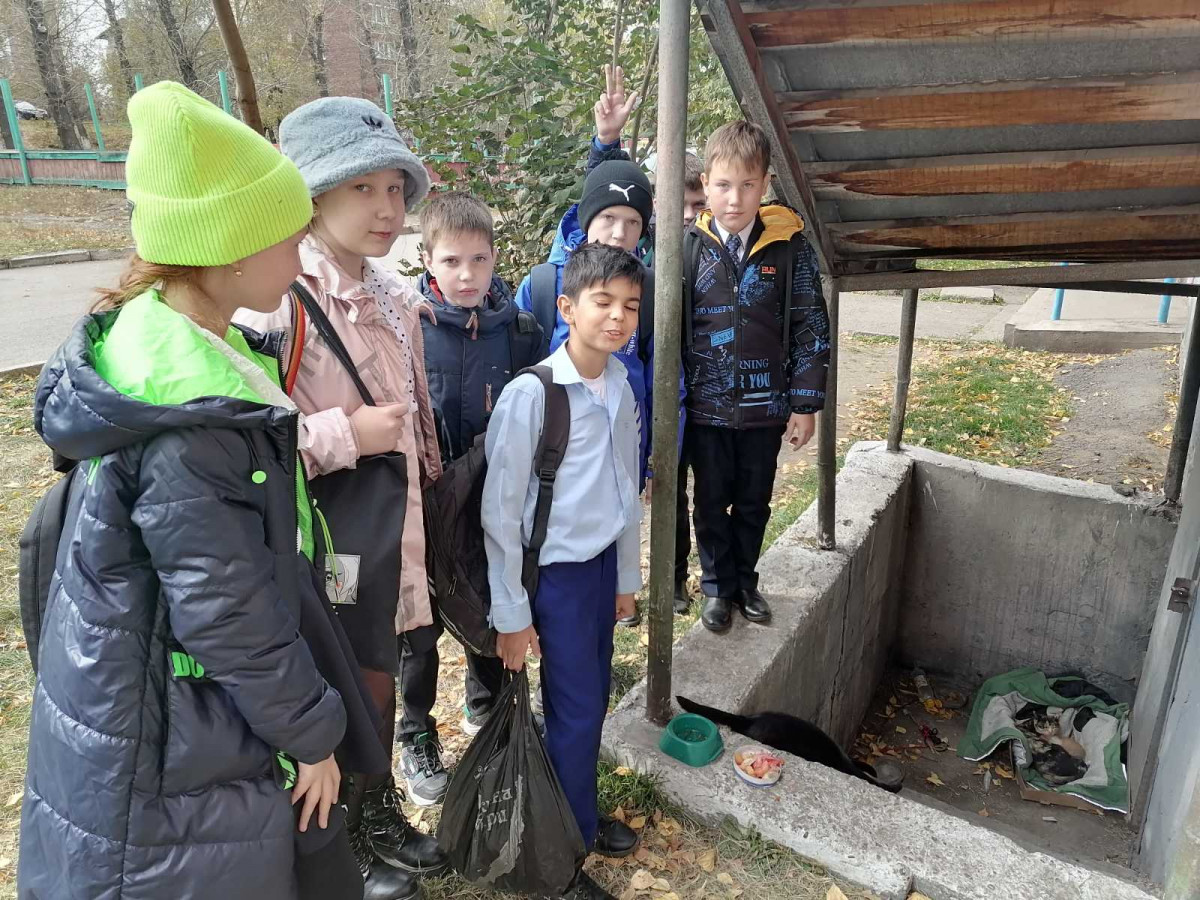 Постер к социальной практике: Дом для бездомных