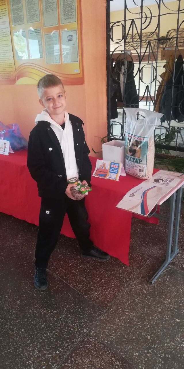 Постер к социальной практике: "Протянем руку лапам"