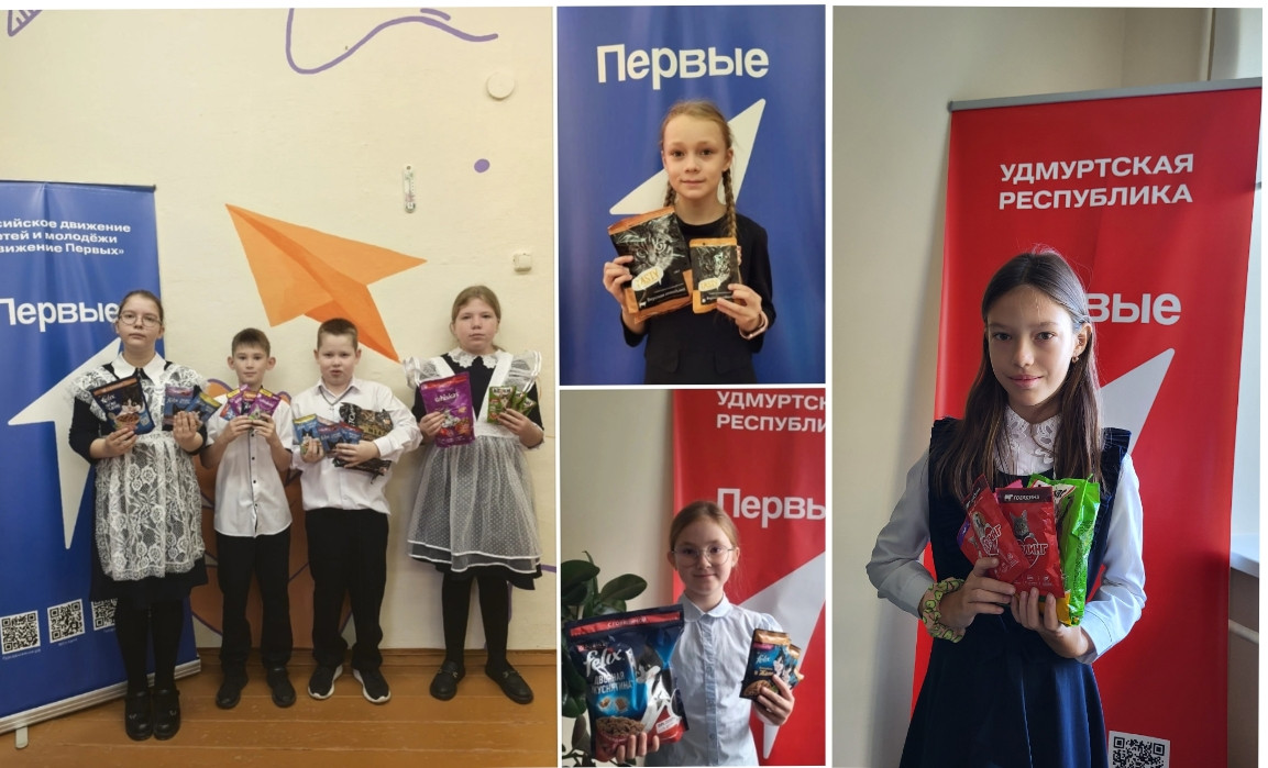 Постер к социальной практике: Сбор корма для бездомных животных