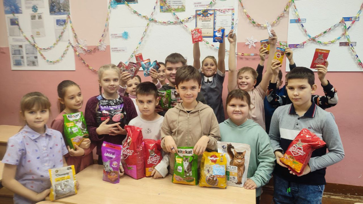 Постер к социальной практике: Им нужна наша помощь!