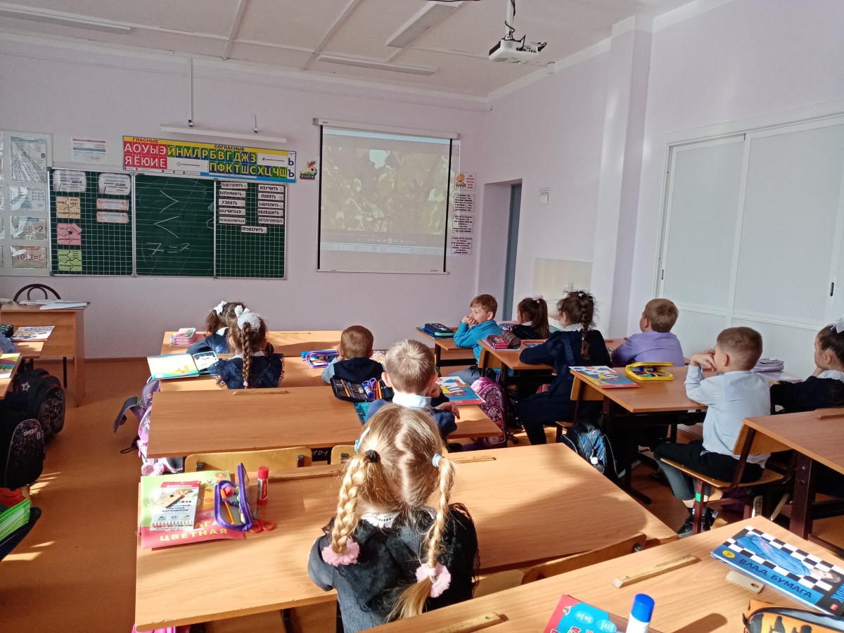 Постер к социальной практике: "Радость за другого"
