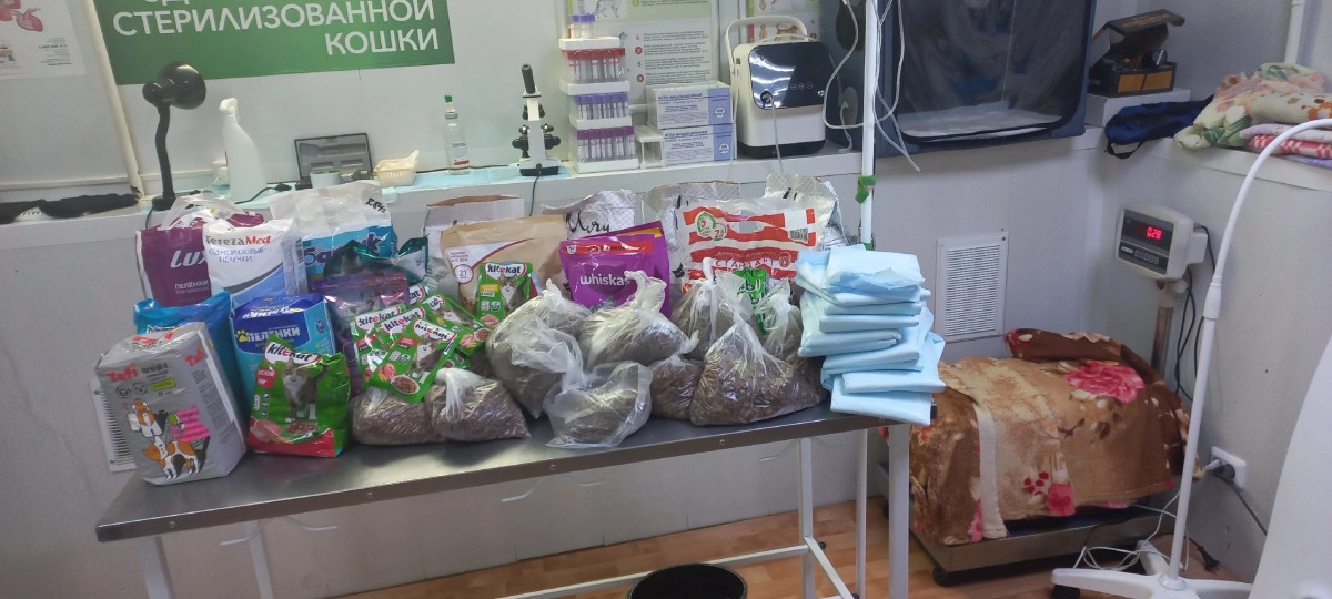 Постер к социальной практике: Все зависит от нас самих