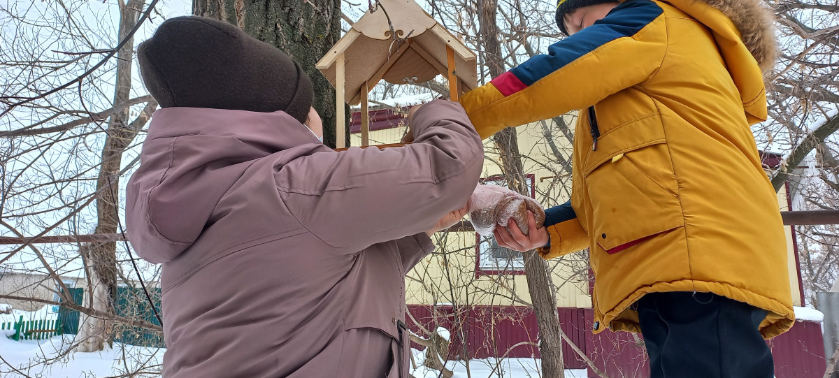 Постер к социальной практике: Покорми птиц зимой