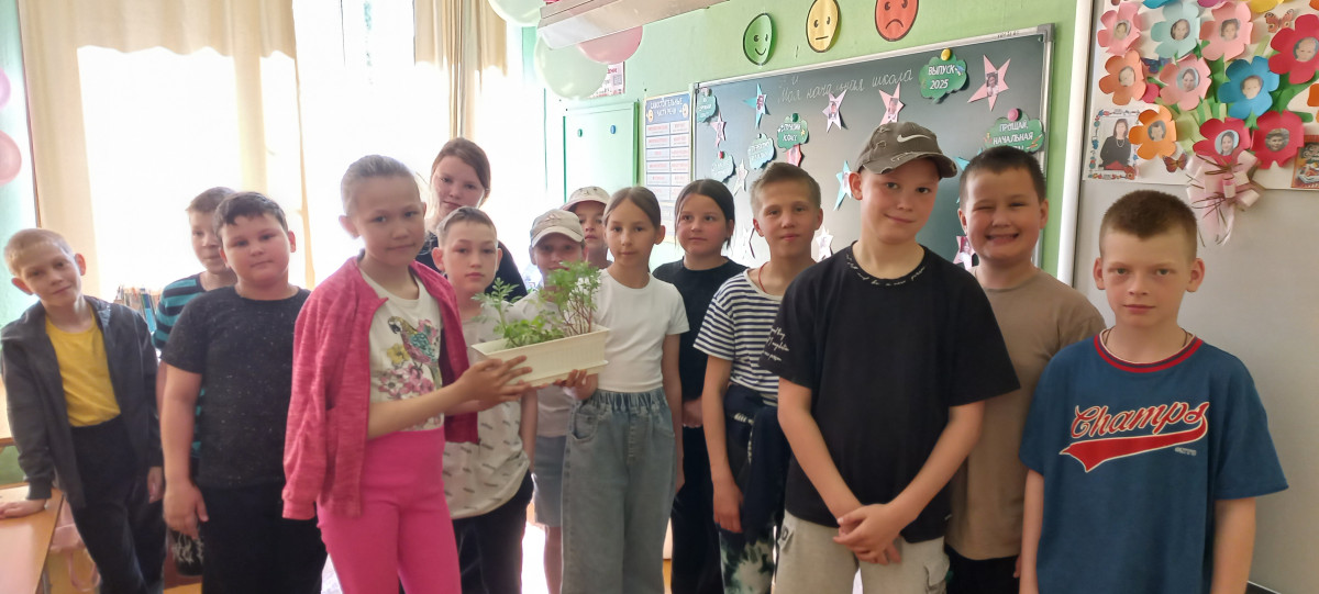Постер к социальной практике: Цветы - краса Земли