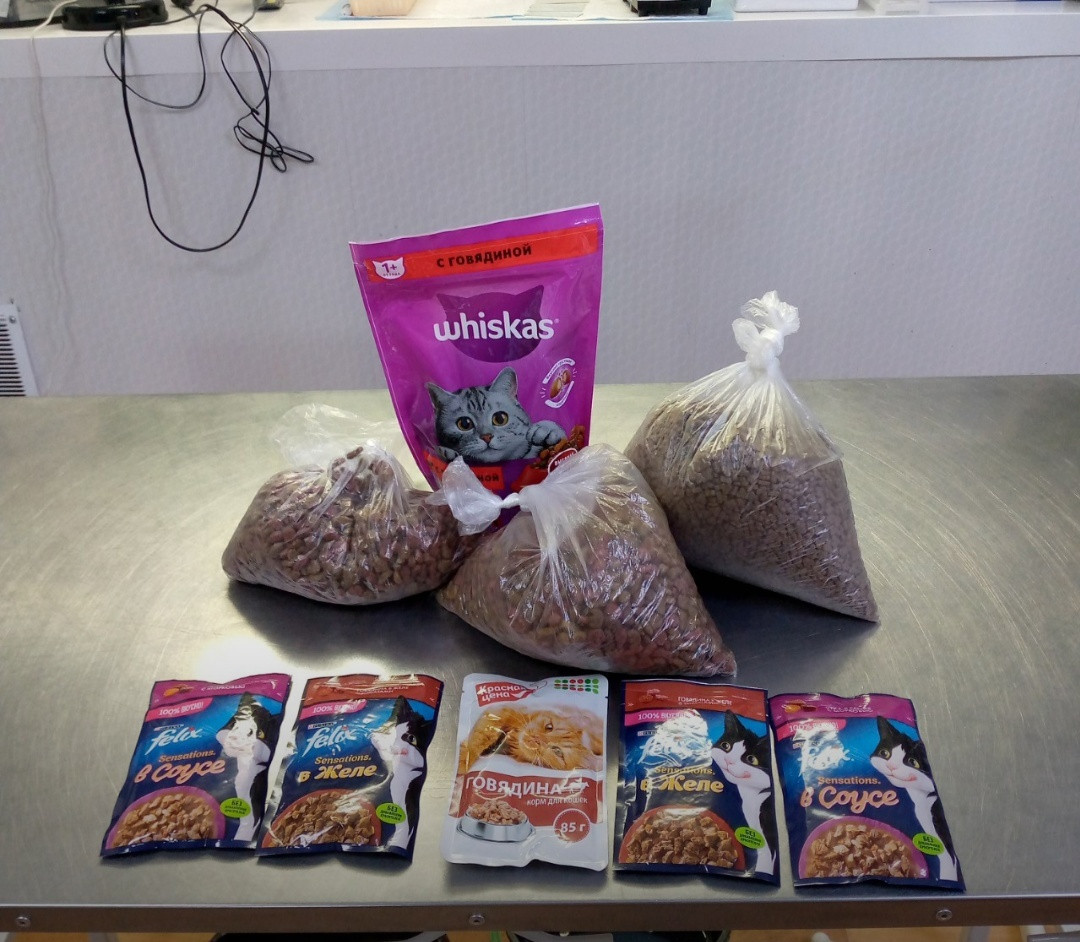 Постер к социальной практике: Сбор корма для бездомных животных