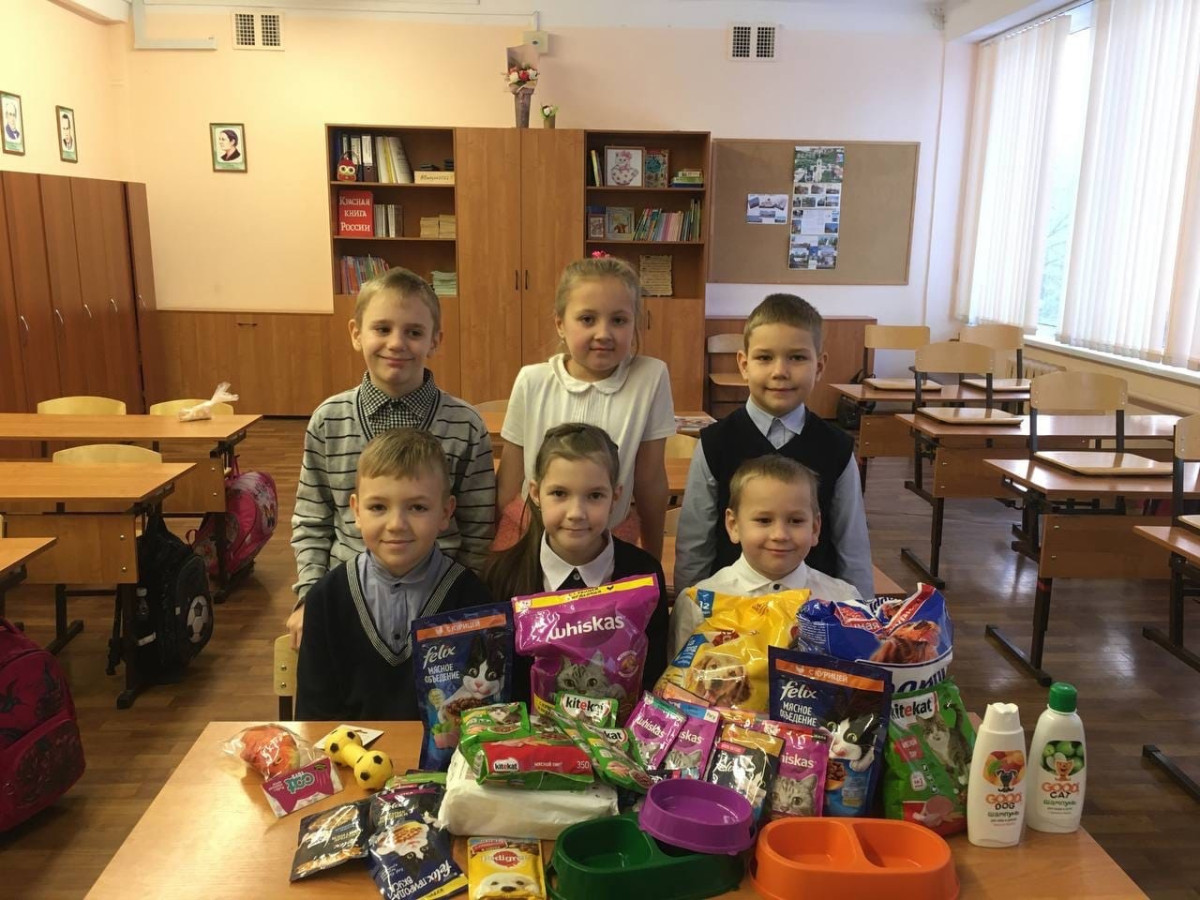 Постер к социальной практике: Вагончик добра