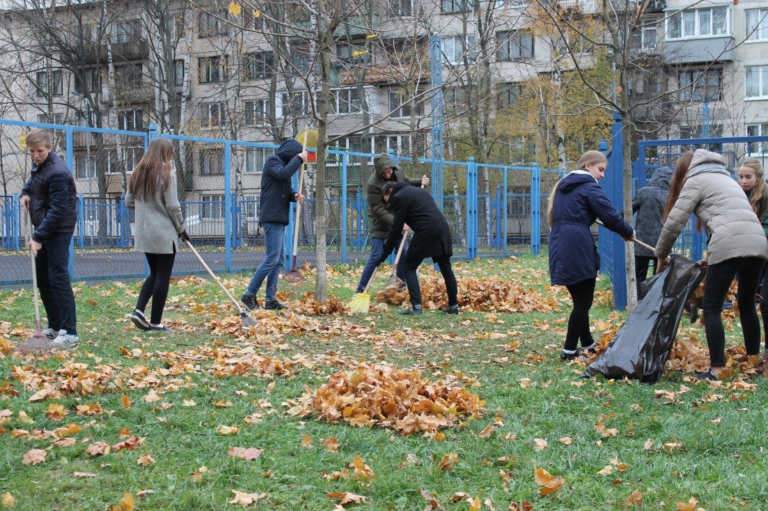 Постер к социальной практике: Экологический десант