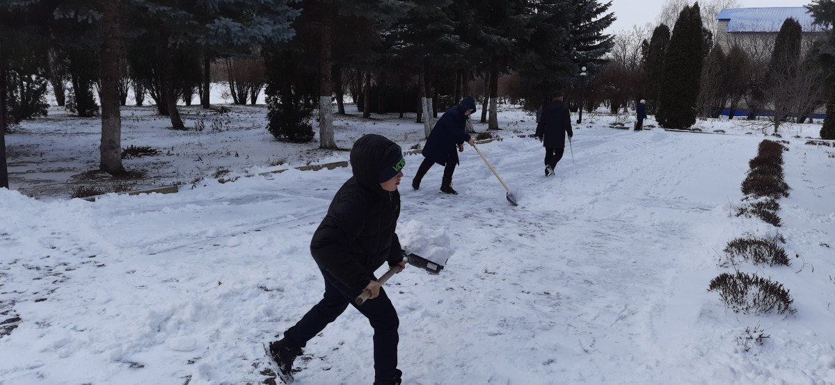 Постер к социальной практике: Снежный десант