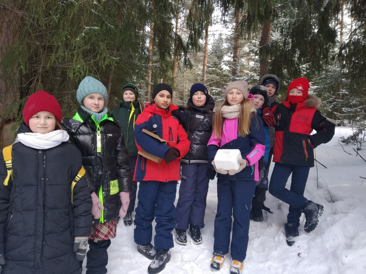 Постер к социальной практике: Сохраним диких животных