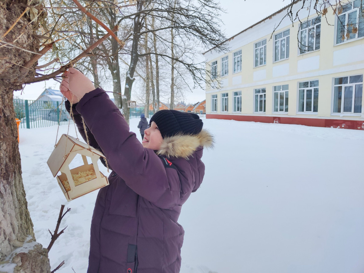 Постер к социальной практике: Каждой птице по кормушке