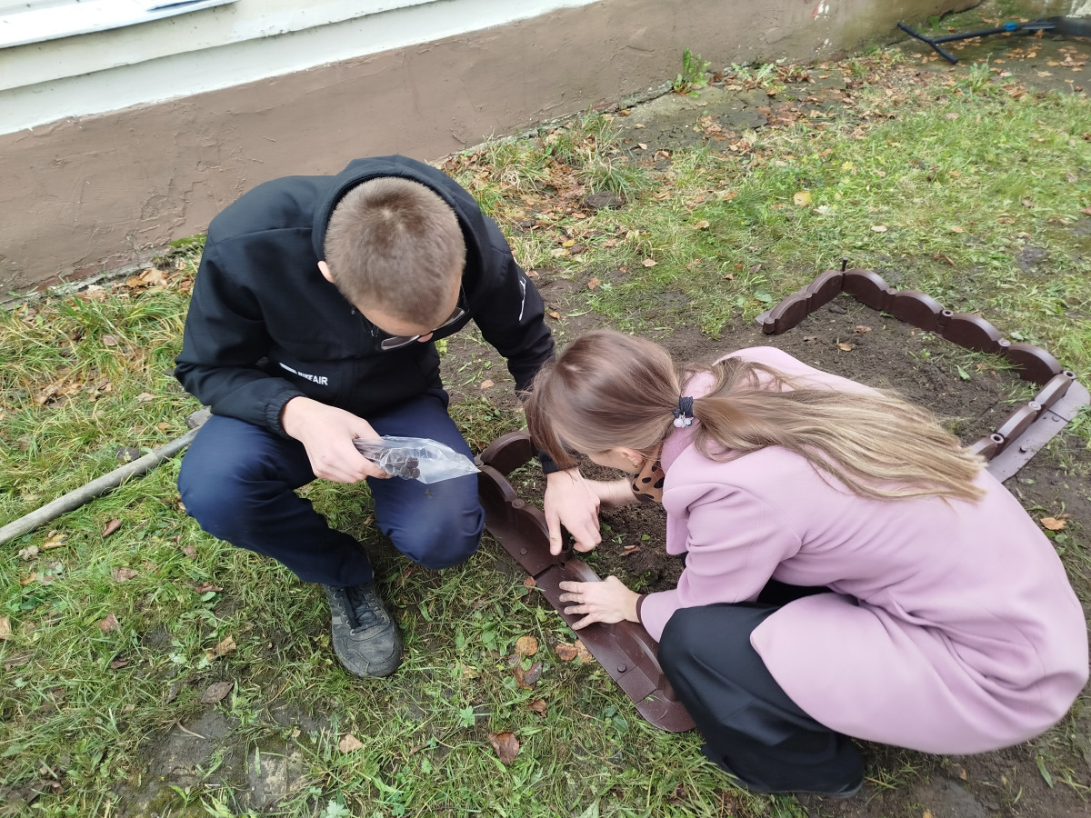Постер к социальной практике: Тюльпаны для Героя