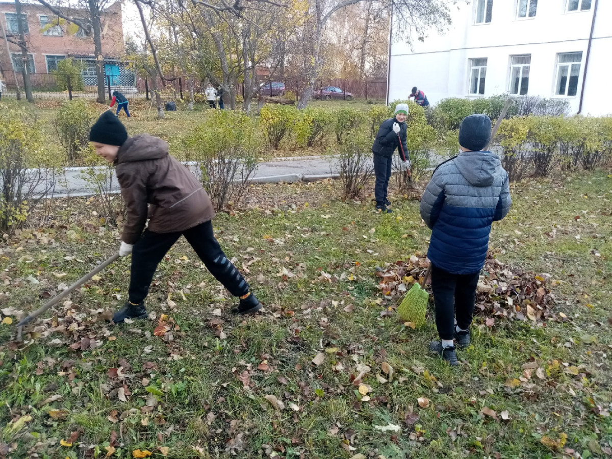 Постер к социальной практике: Помощь природе