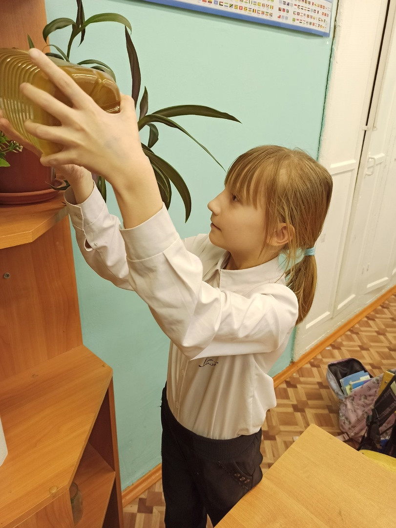Постер к социальной практике: Бескорыстные поступки