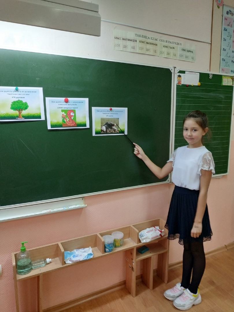 Постер к социальной практике: "Экология"