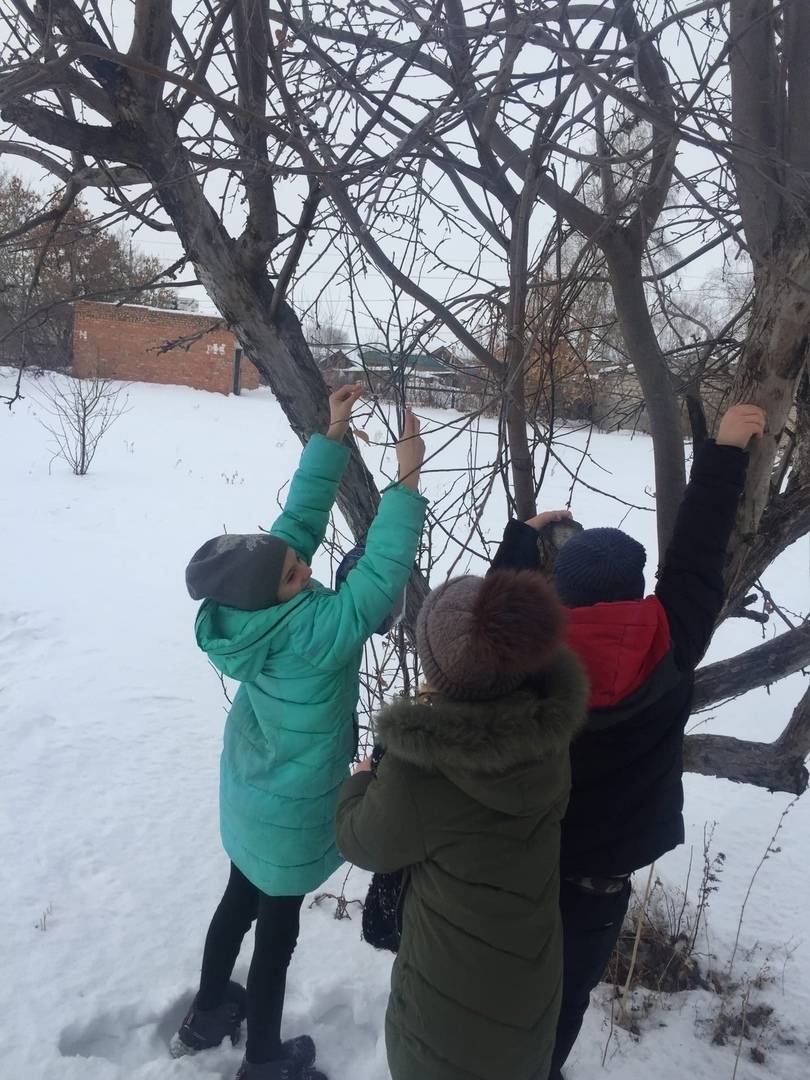 Постер к социальной практике: Делаем добрые дела.