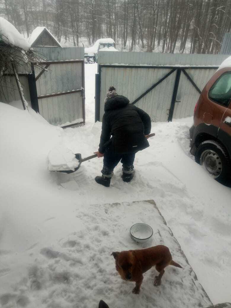 Постер к социальной практике: Дорога добра