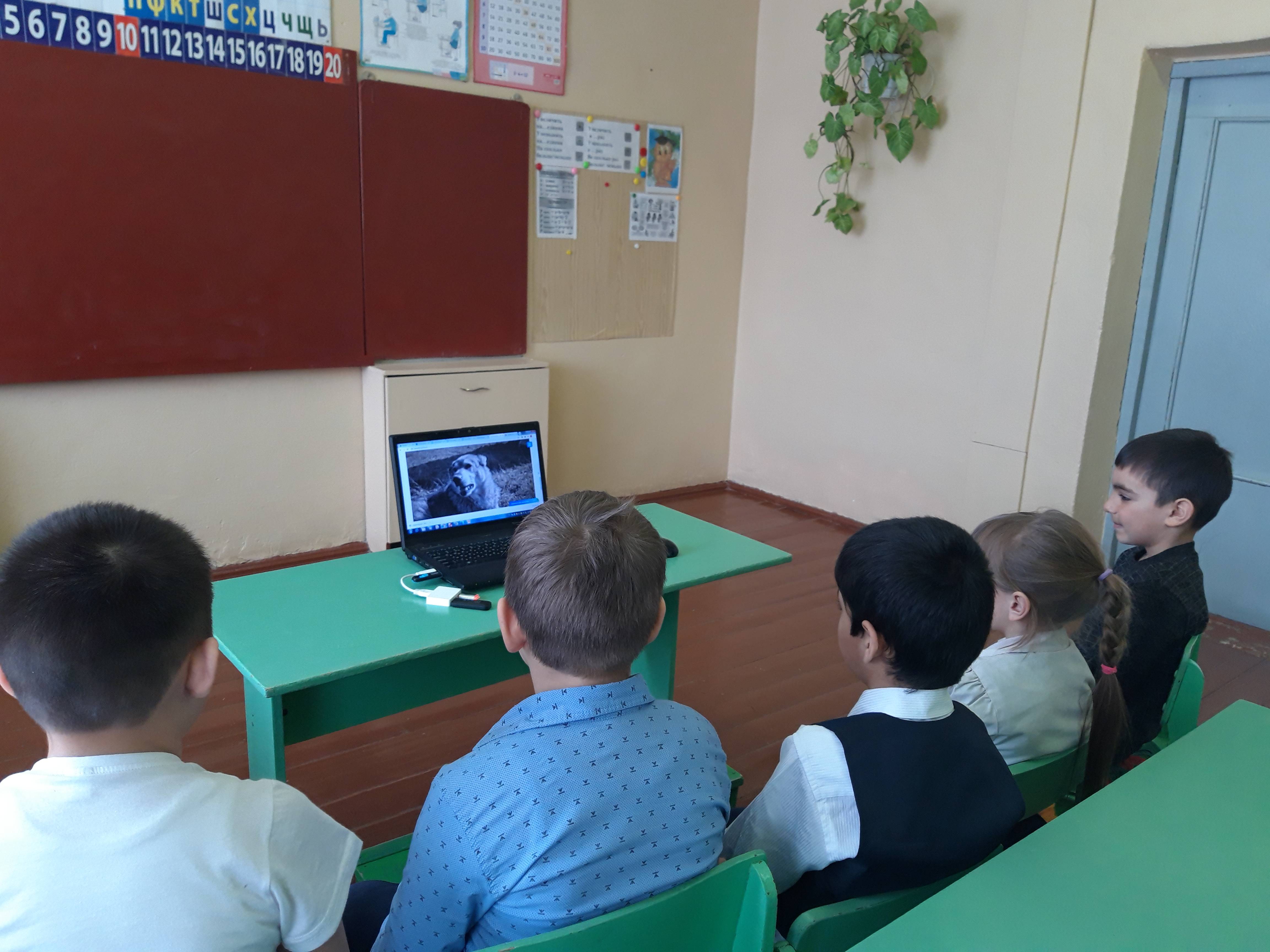Постер к социальной практике: проведение киноурока