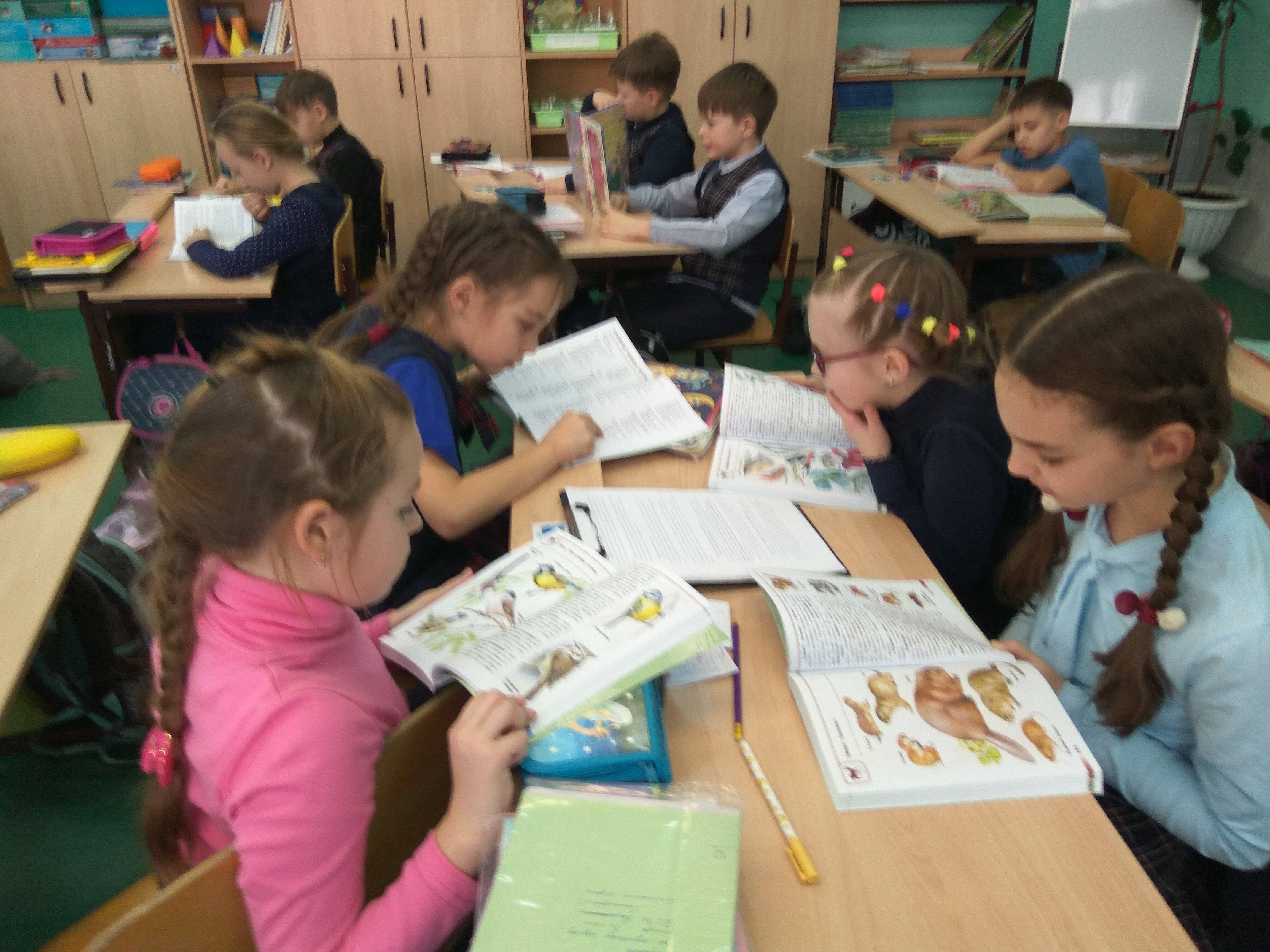 Постер к социальной практике: Проект "Животные родного края"