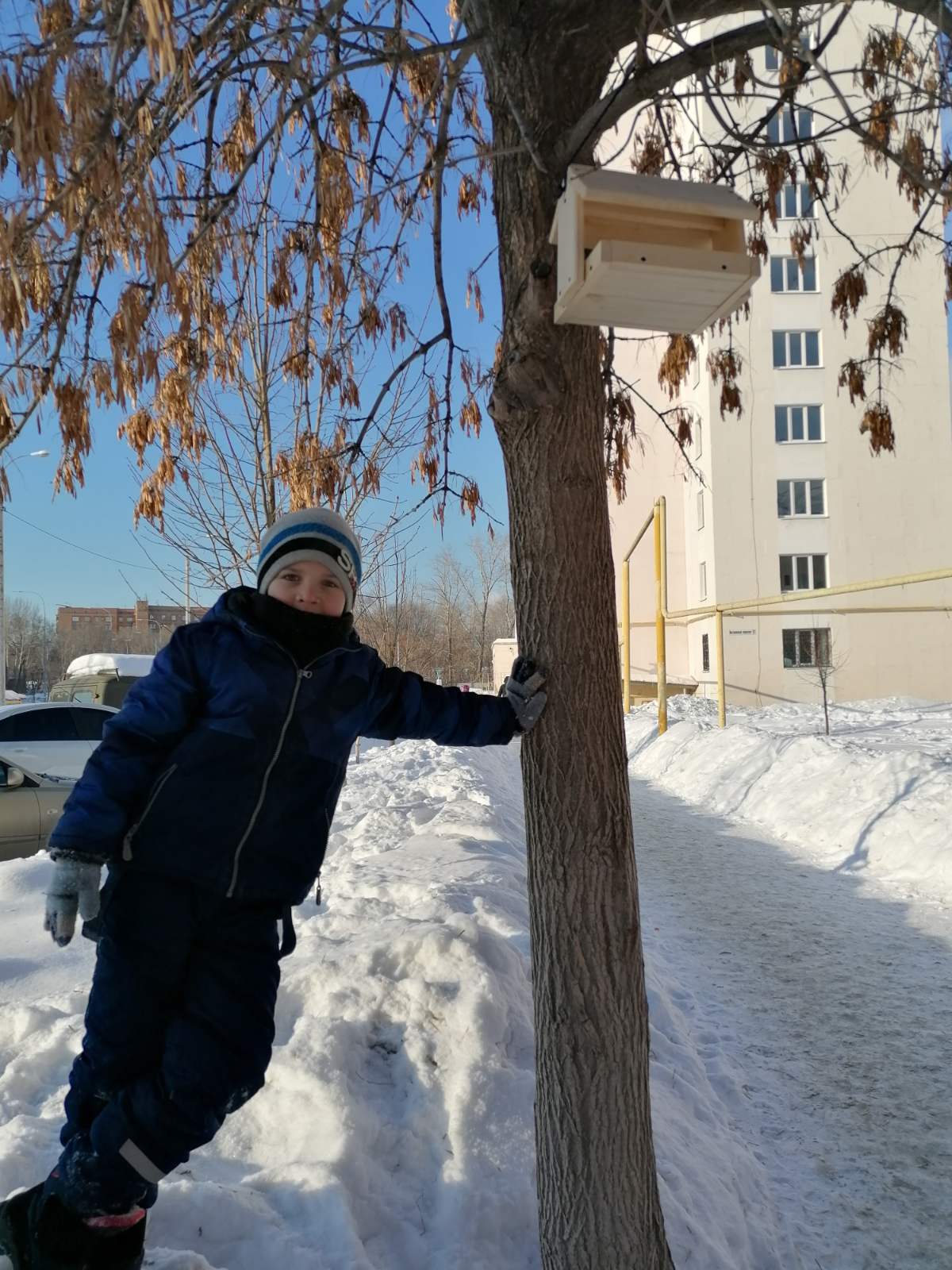 Постер к социальной практике: Радость познания