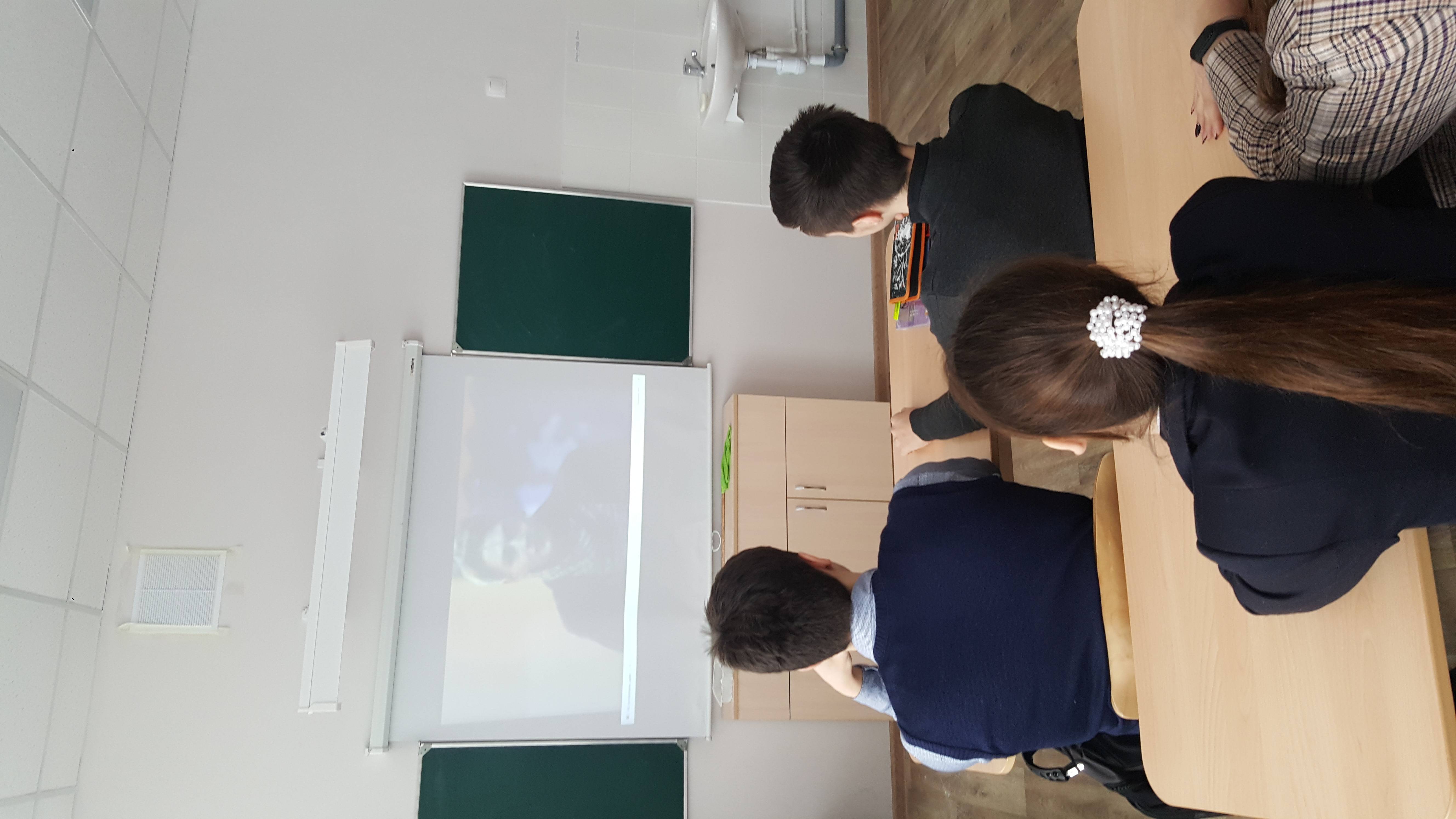 Постер к социальной практике: Дерево прощения