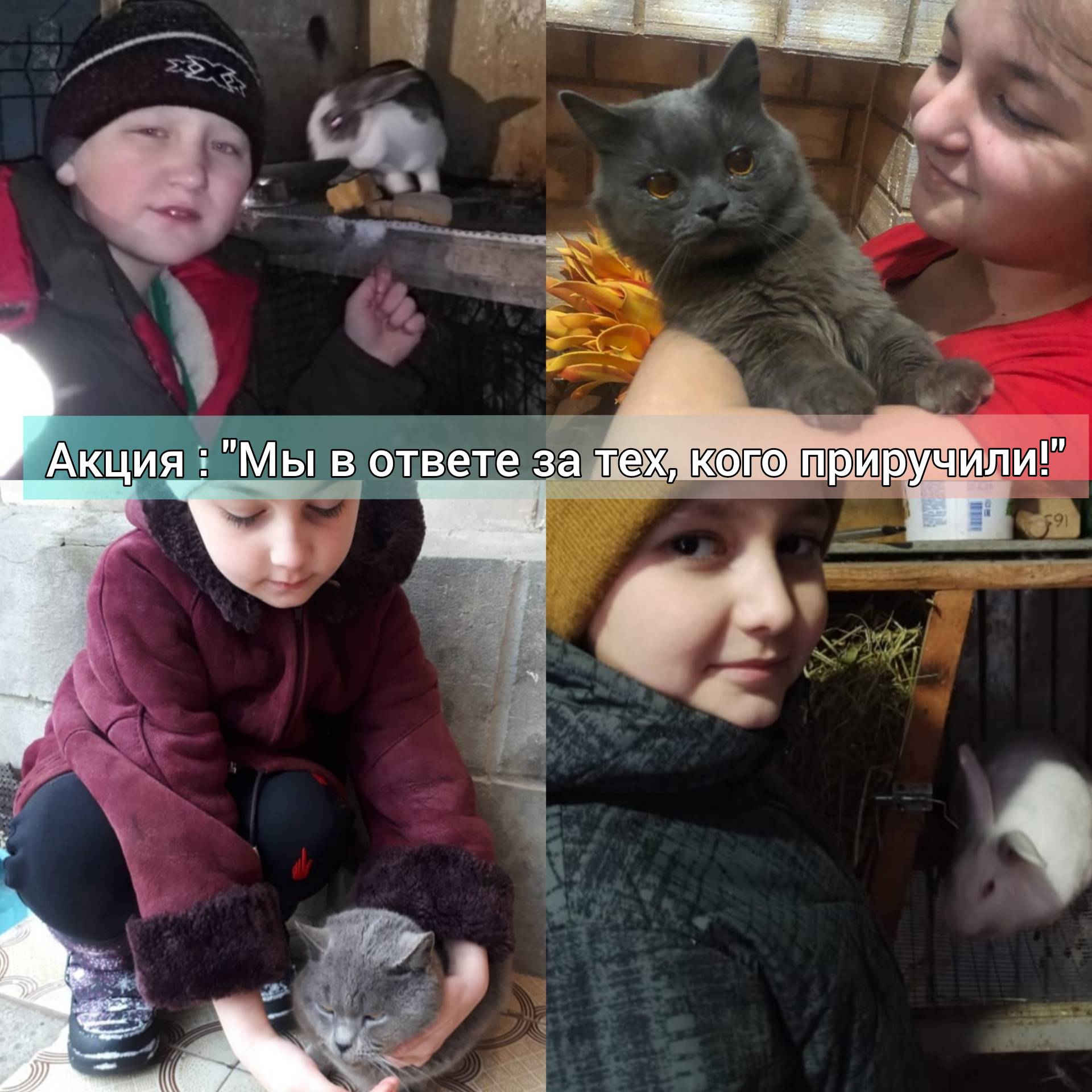 Постер к социальной практике: "Люби всё живое!"