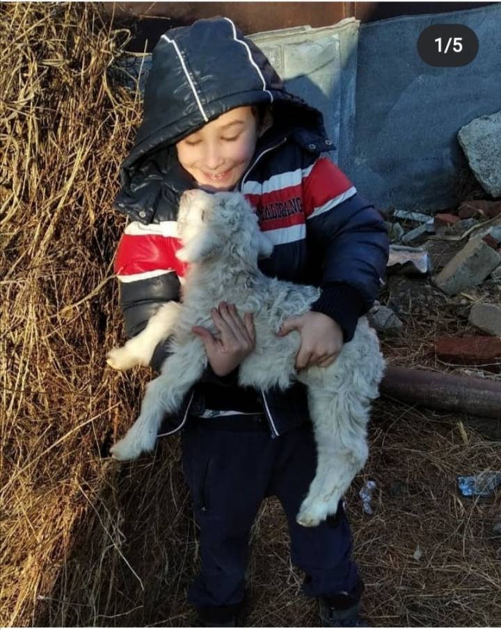 Постер к социальной практике: Мы в единстве с природой