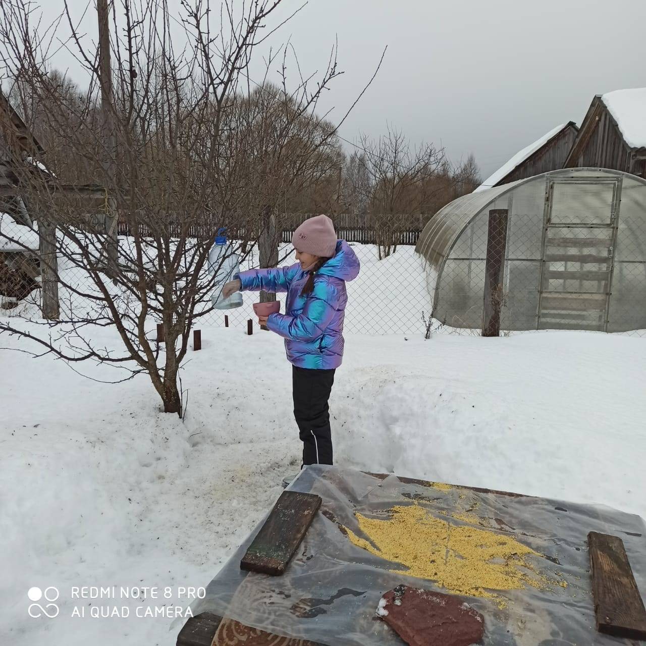 Постер к социальной практике: Акция "Поможем птицам зимовать"