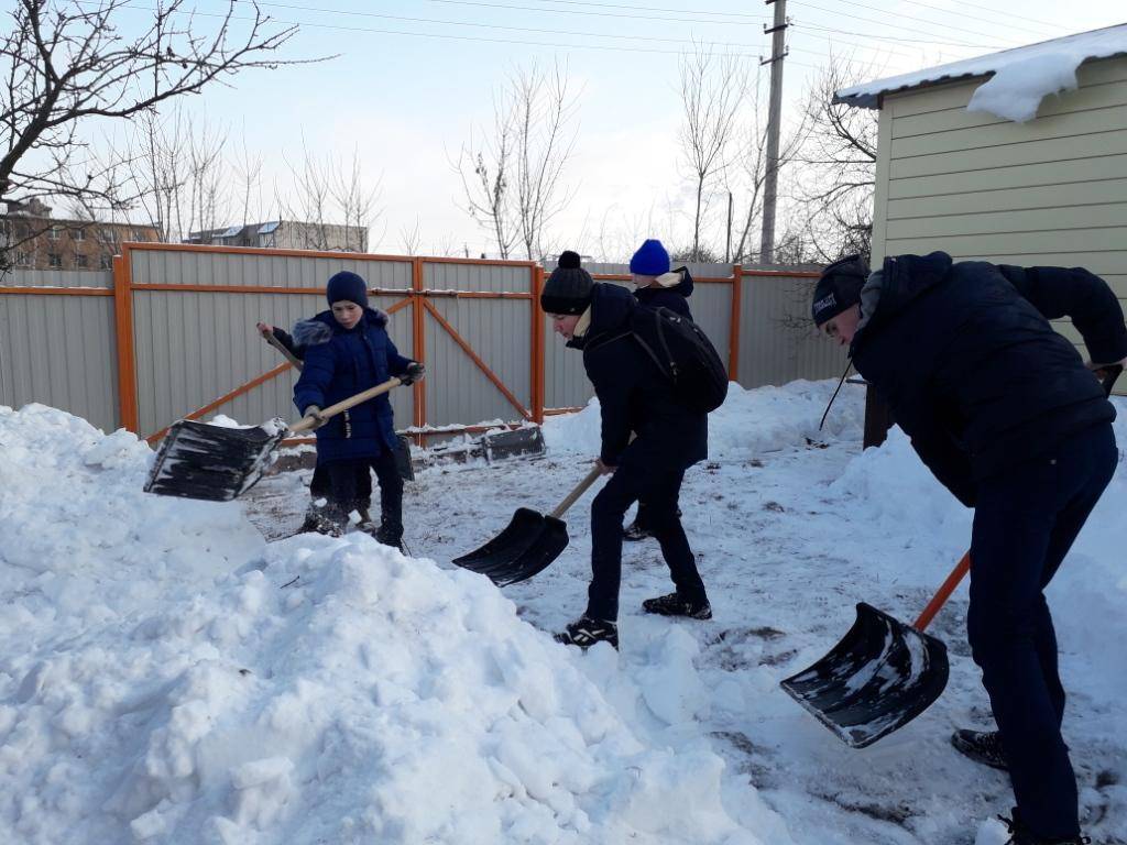 Постер к социальной практике: "Добрые руки"