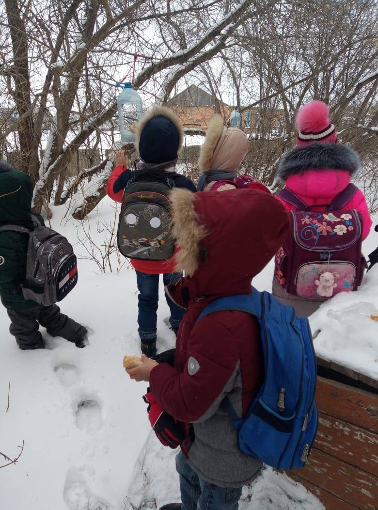 Постер к социальной практике: "Помоги птицам зимой!"
