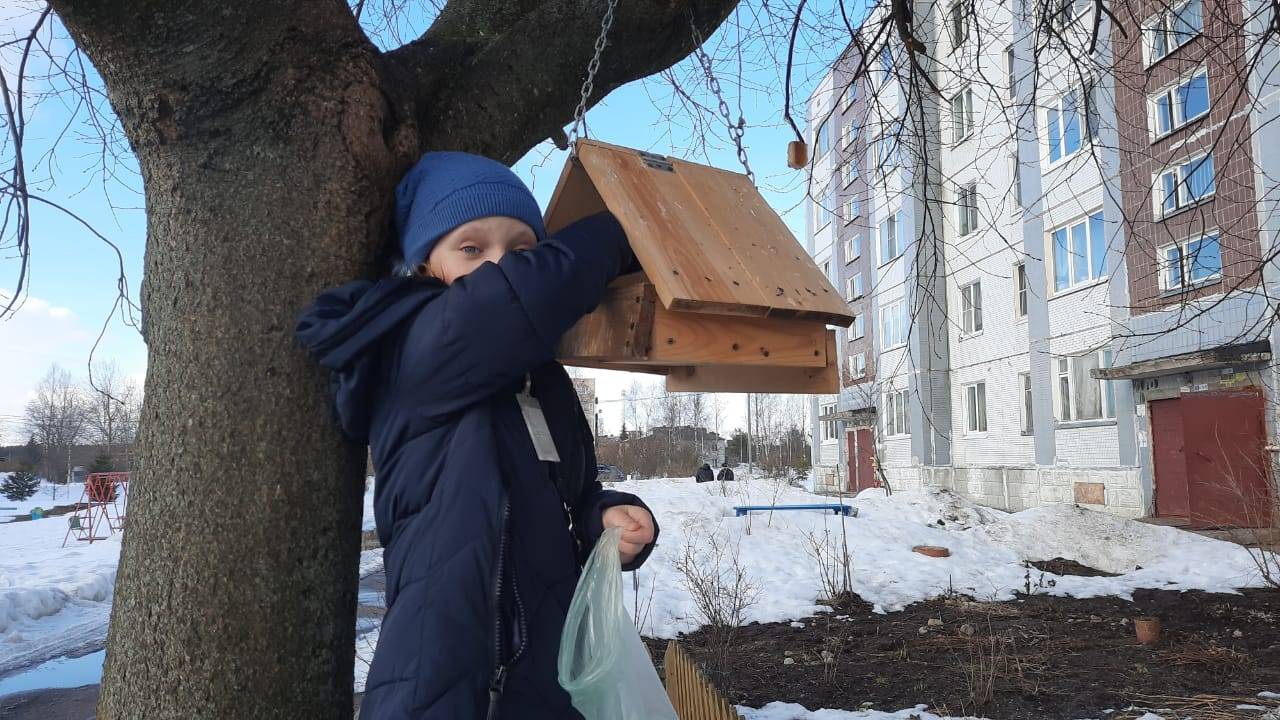 Постер к социальной практике: Помоги птицам