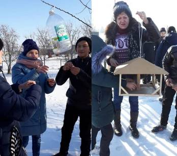 Постер к социальной практике: Помоги птицам зимой