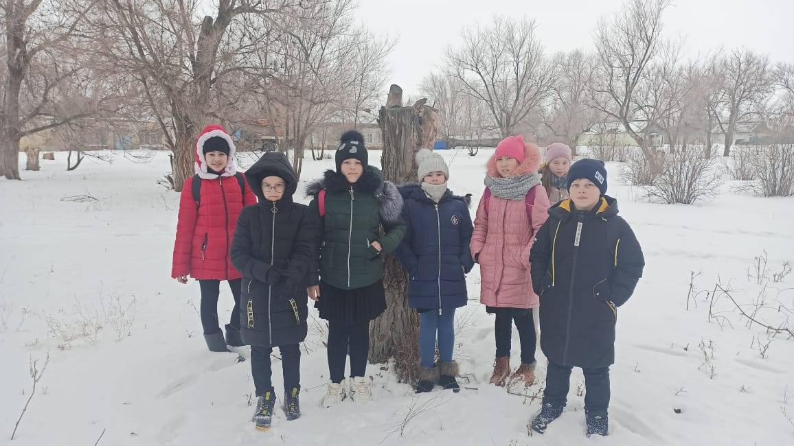 Постер к социальной практике: Социальная практика "Покорми птиц зимой"