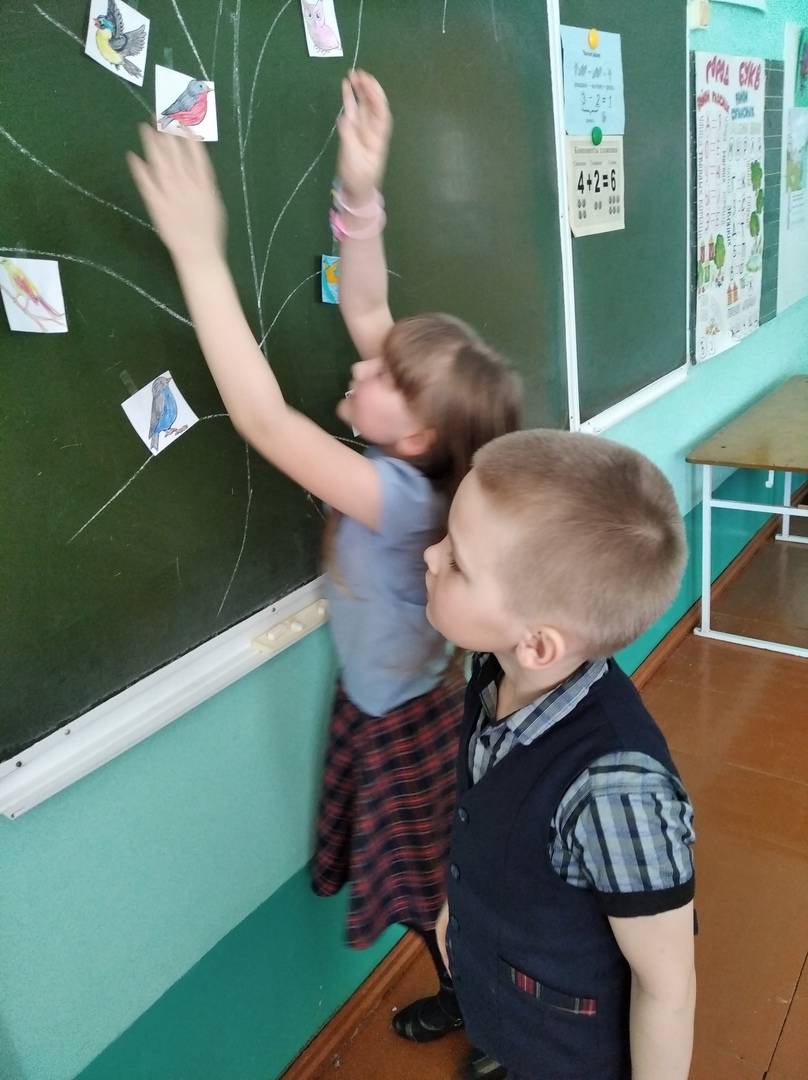 Постер к социальной практике: "Дружба с природой"