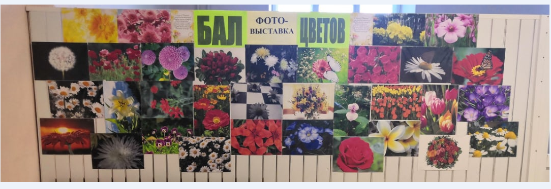 Постер к социальной практике: "Бал цветов"