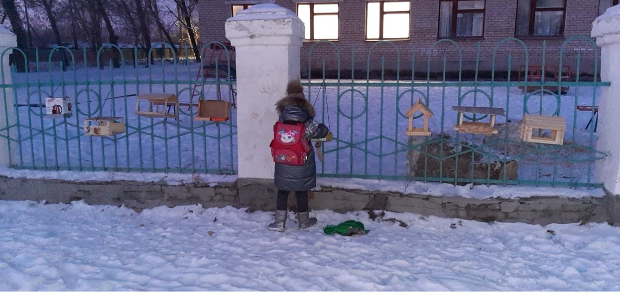 Постер к социальной практике: "Каждой пичужке кормушка"❤