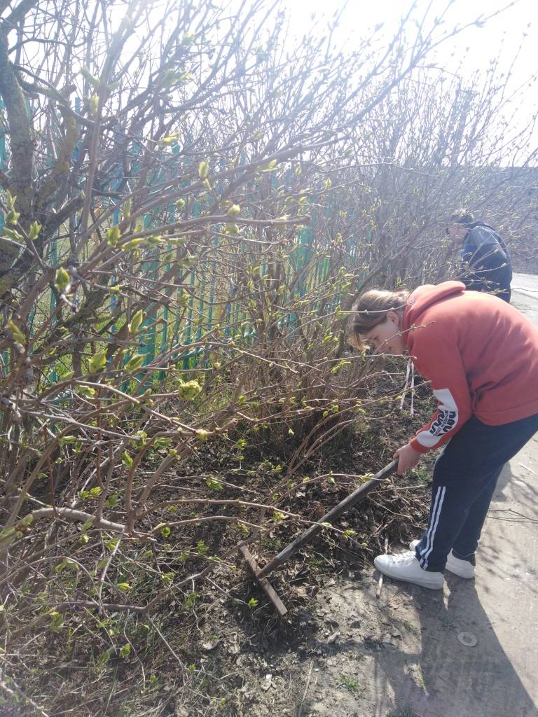 Постер к социальной практике: Экологический десант