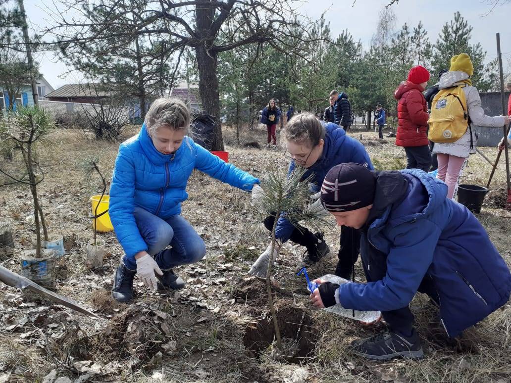 Постер к социальной практике: Красота родного города - дело каждого