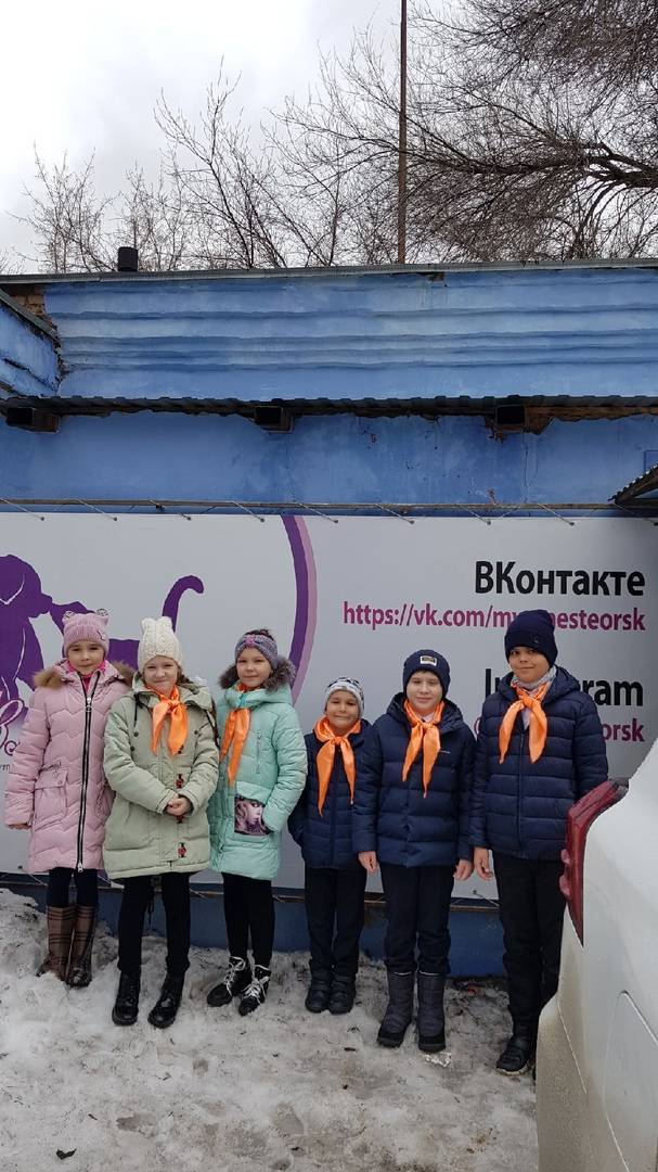 Постер к социальной практике: Помогаем братьям нашим меньшим