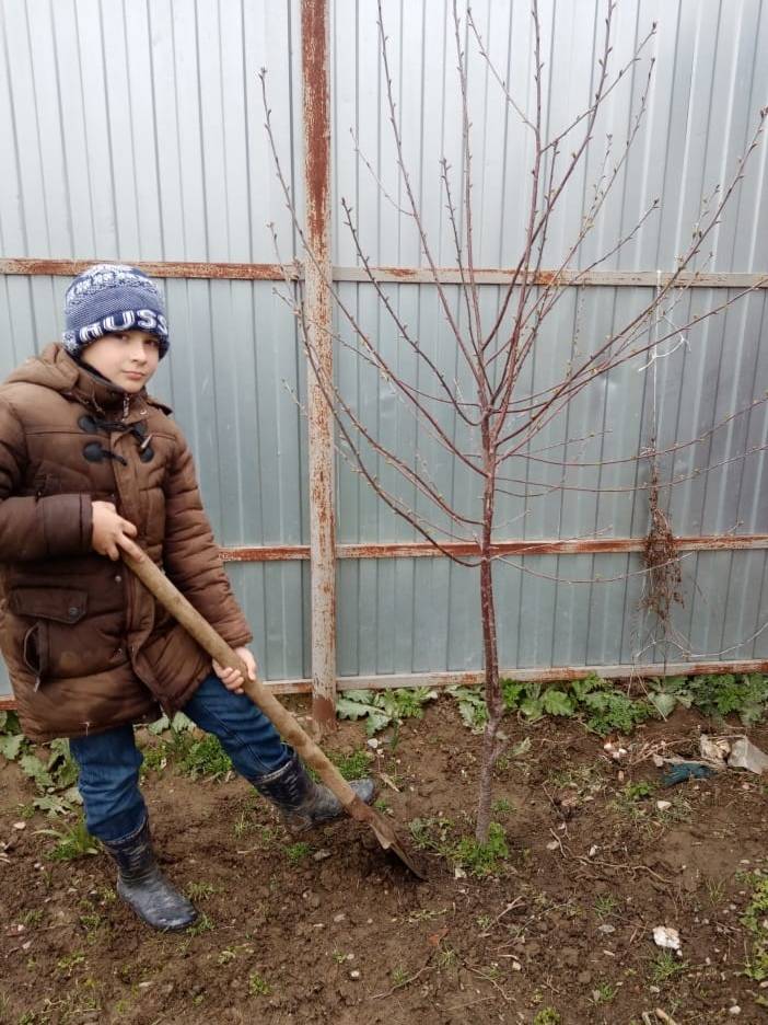 Постер к социальной практике: КТД "Все зависит от нас самих"
