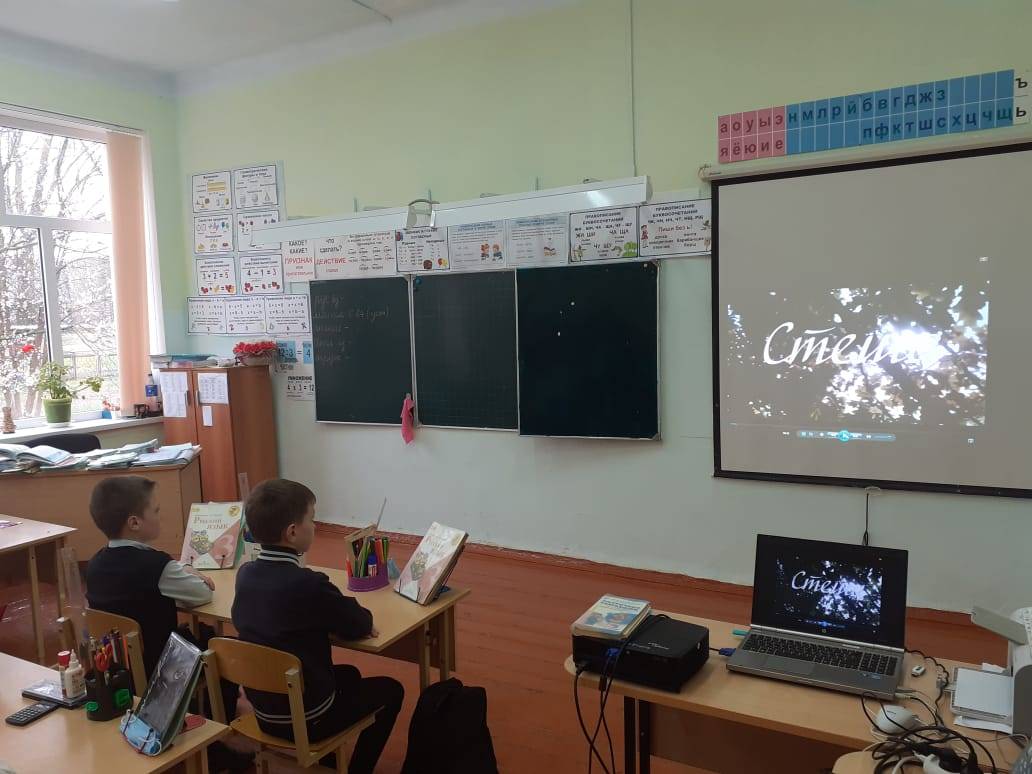 Постер к социальной практике: Помощь братьям нашим меньшим
