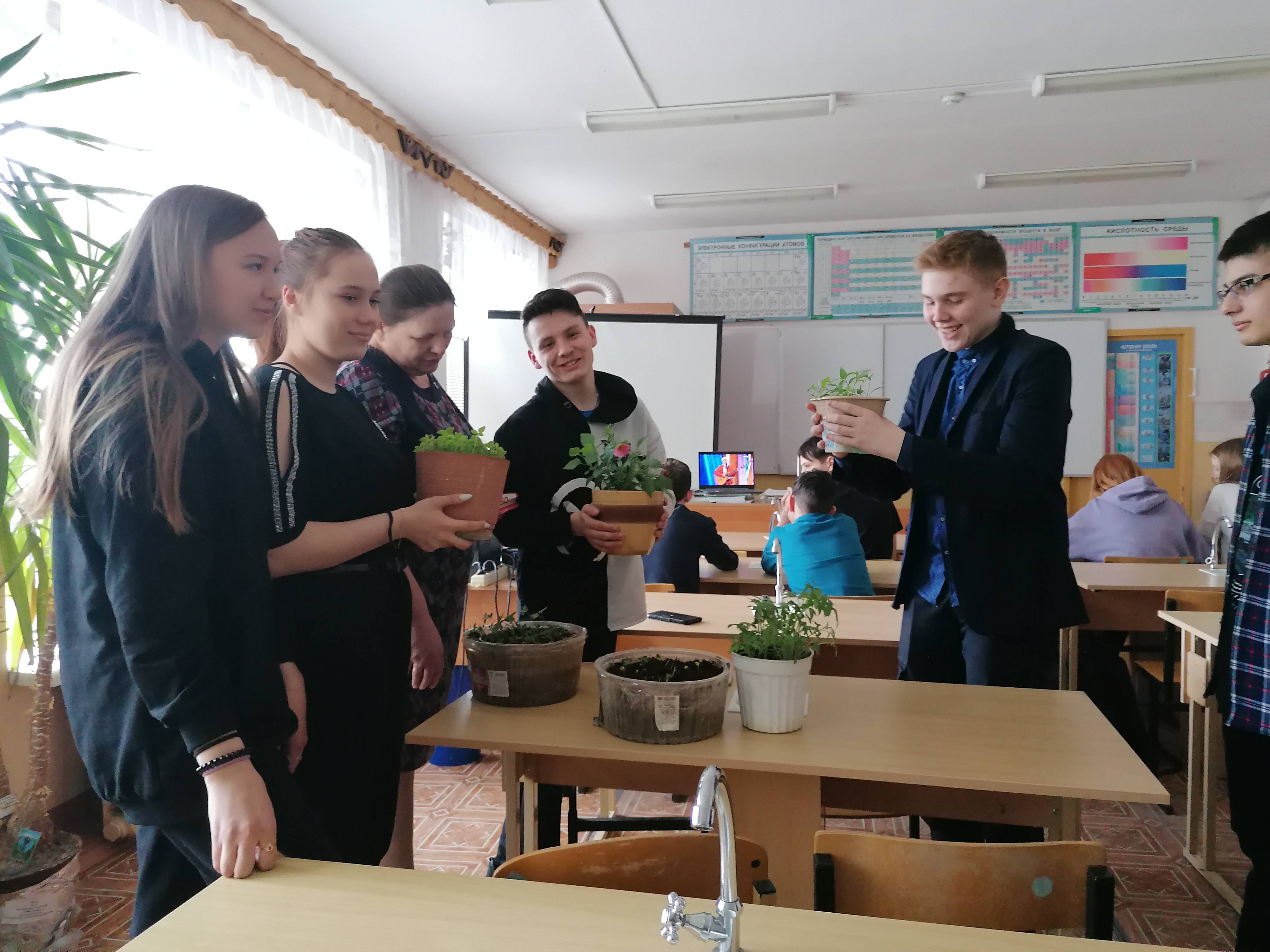 Постер к социальной практике: Рассада цветов для школьной клумбы