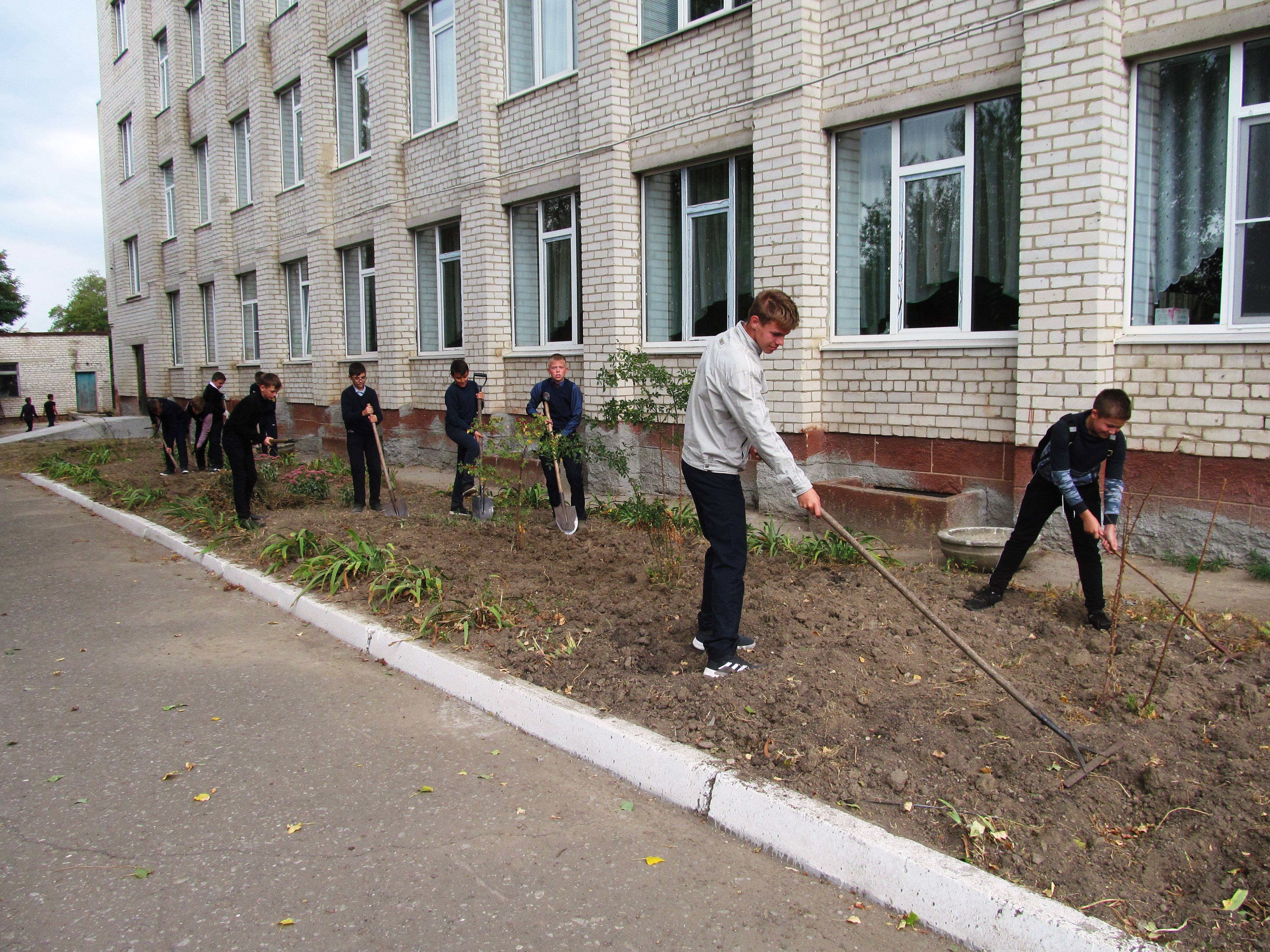 Постер к социальной практике: Готовим клумбу к посадке цветов