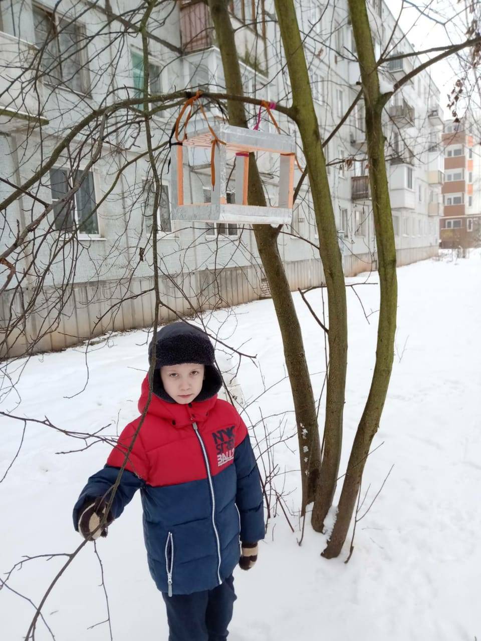Постер к социальной практике: Помощь птицам/ кормушки для птиц.