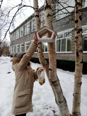 Постер к социальной практике: Акция "День птиц"
