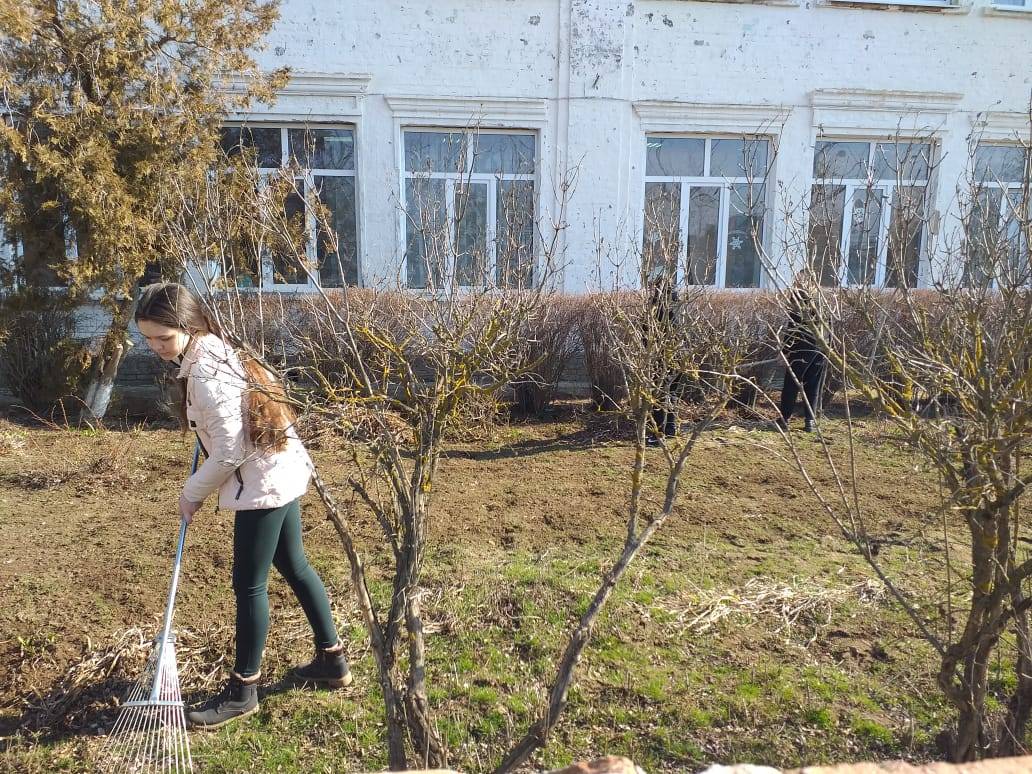 Постер к социальной практике: Акция "Живи, земля!"