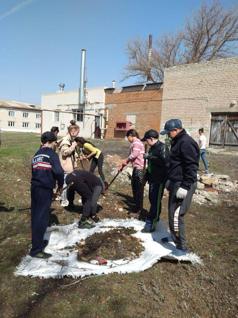 Постер к социальной практике: Где чисто, там и душа радуется
