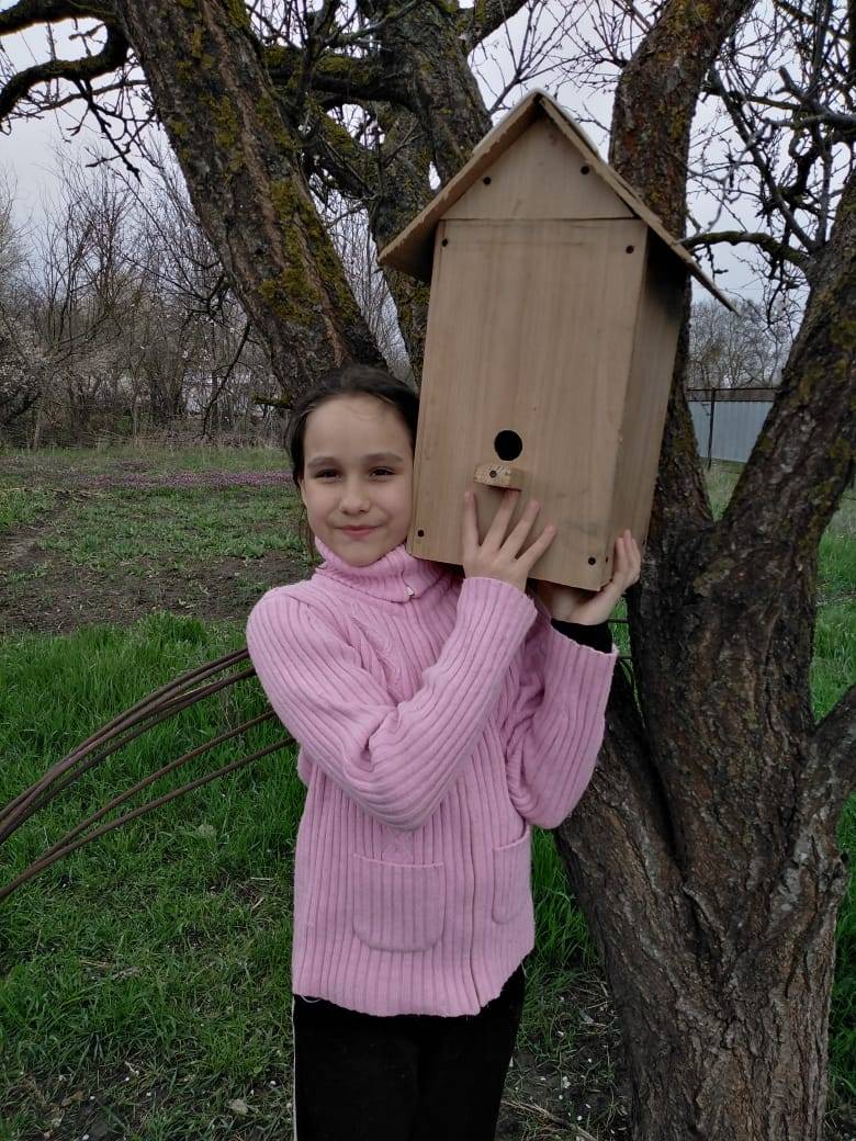 Постер к социальной практике: Каждой птичке по кормушке
