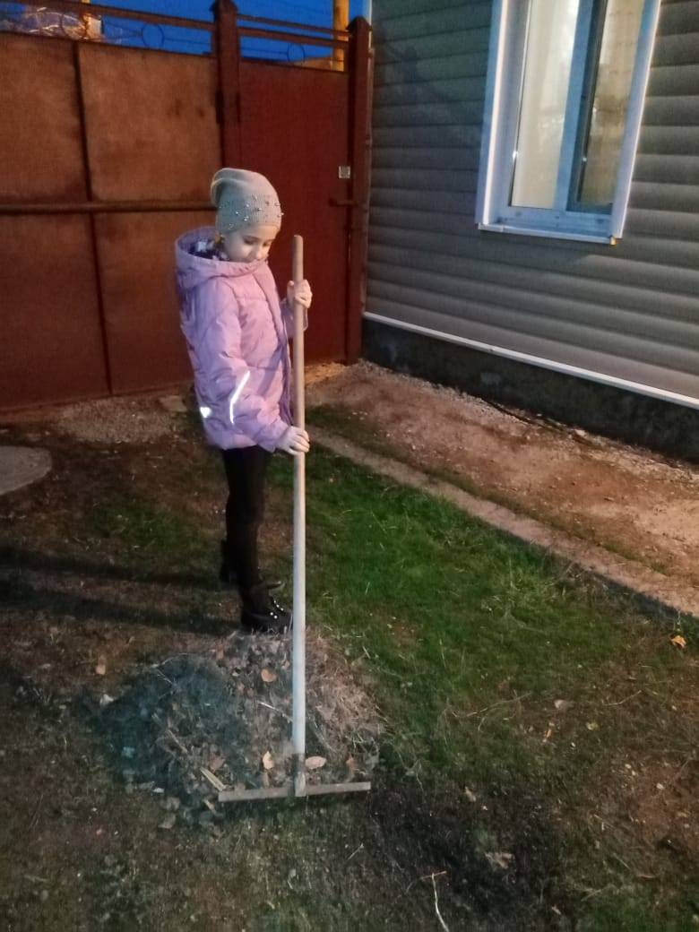 Постер к социальной практике: Уважительное отношение к природе. Экология внутри, экология снаружи.