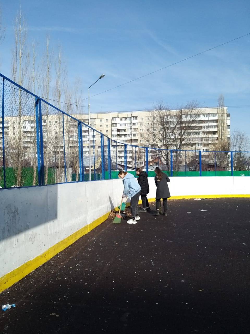 Постер к социальной практике: Экологический субботник в гимназии